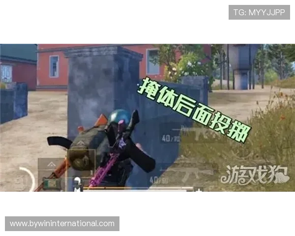 方舟牛牛游戏中的隐藏技巧与小窍门助你成为牌场高手